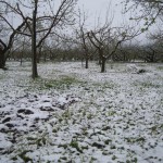 IMG_1876.jpg