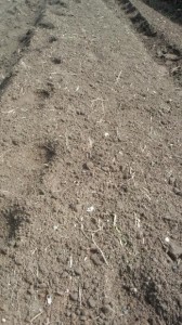 2014-9-22_2.jpg