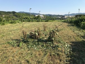 IMG_0177.JPG
