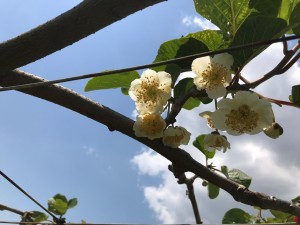 IMG_0749.jpg